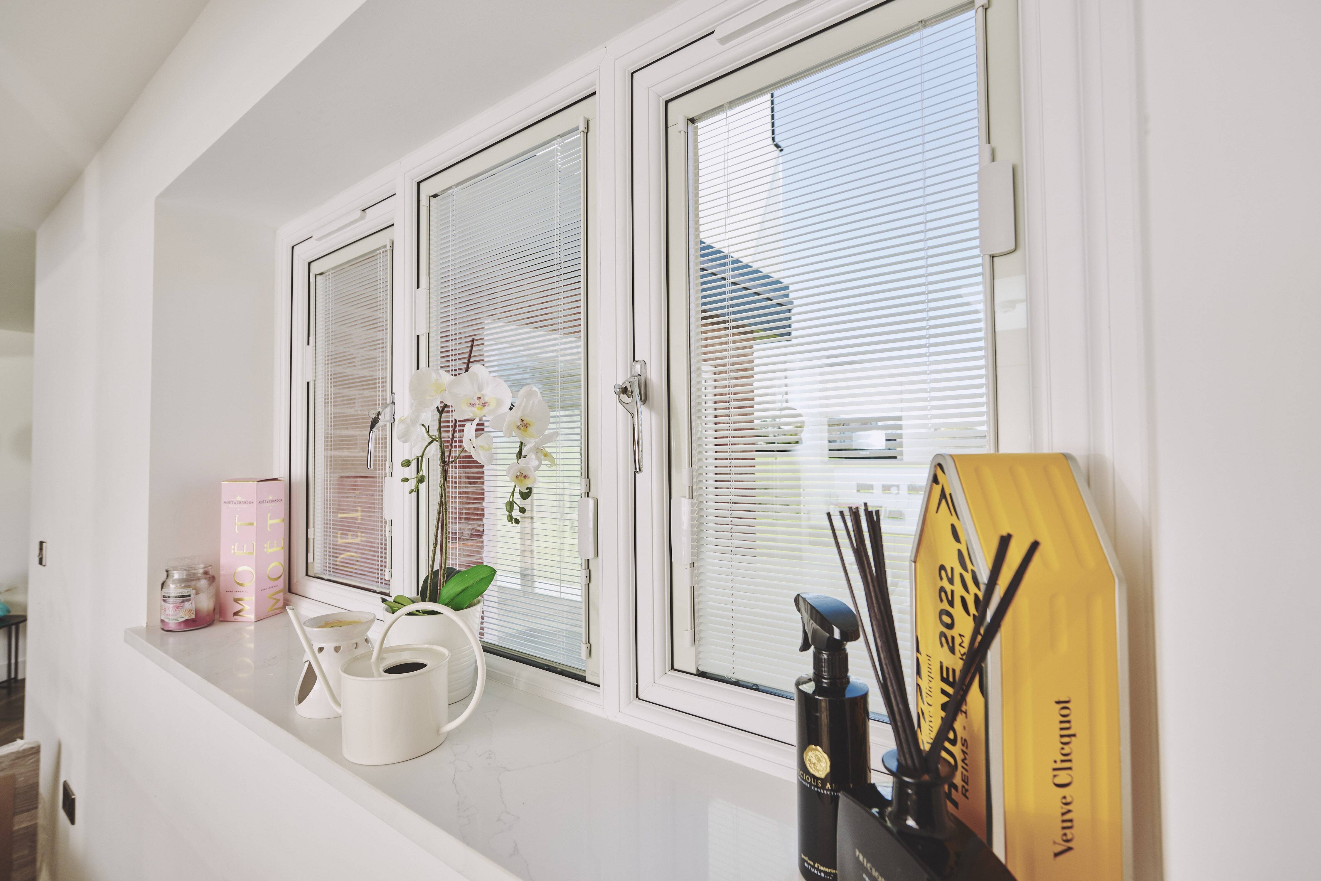 Windows with integral blinds